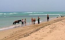 Dominican Republic-North Island-Munoz Equestrian Getaway